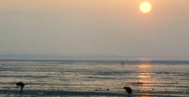 Sunset in Whitstable