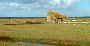 Romney marsh