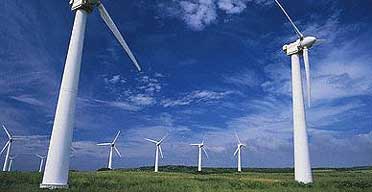 A wind farm