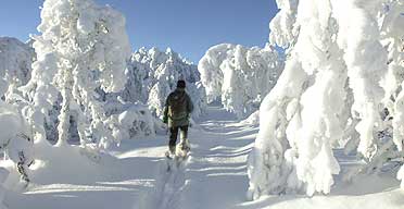 Cross country skiing in Geilo, Norway