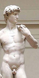 Michelangelo's David