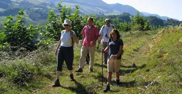 Walking in the Pyrenees