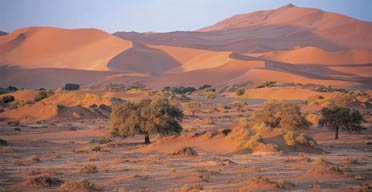 The Namibian desert