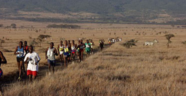 The Safari Marathon, Kenya