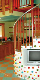 Lazy Meadow, Catskills