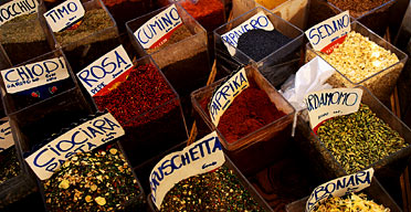 Spices, Rome