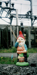 A garden gnome in Paris