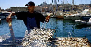Grilling fish in Marseille