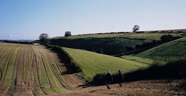 The Yorkshire Wolds