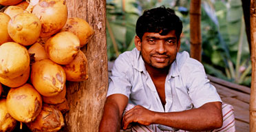 Coconut seller, Sri Lanka