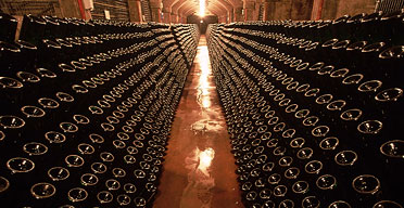 Wine bottles in store, Franciacorta