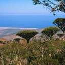 Socotra, Yemen