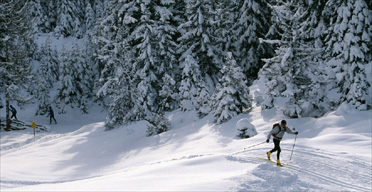 Cross-country skiing