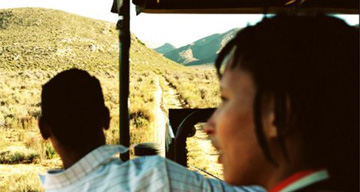 Safari