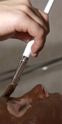 Chocolate fondue facial