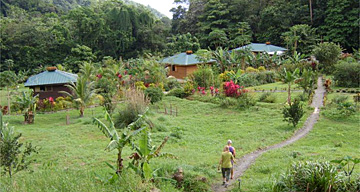 Three Rivers Eco Lodge, Domenica