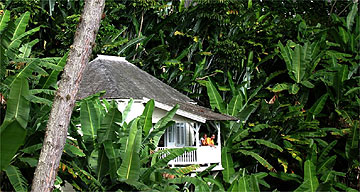 Strawberry Hill, Jamaica