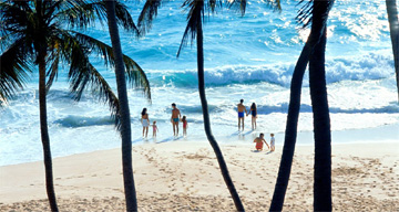 Barbados beach