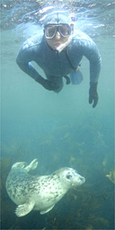 Ian Belcher snorkelling off Scilly Isles