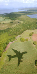 Shadow of an Airbus plane