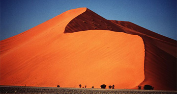 Namib Desert