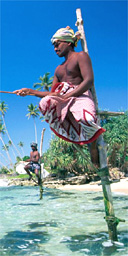 Stilt fishermen