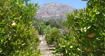 Northern Costa Blanca