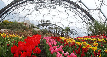 The Eden Project