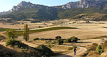 Cycling in Rioja, Spain