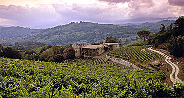 The Camino to Santiago de Compostela