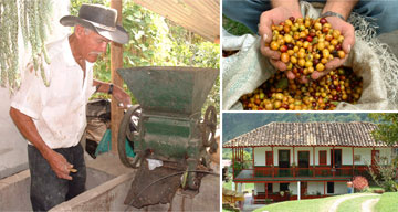 Coffee tourism in Colombia