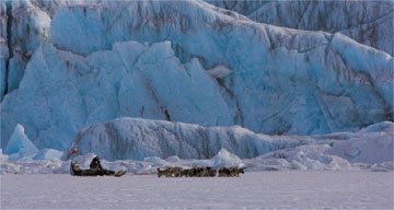 A man and his husky dogs on the ice, Ilulissat, Greenland 