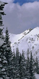 Alta, Utah 