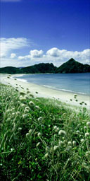 Medlands Beach, Great Barrier island, New Zealand