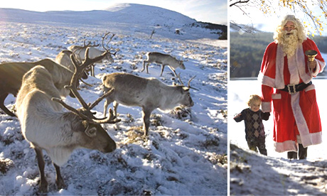 Scottish reindeer and an encounter with Father Christmas