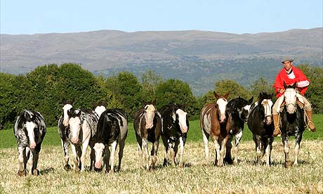 Estancia el Colibril Hotel, Cordoba, Argentina
