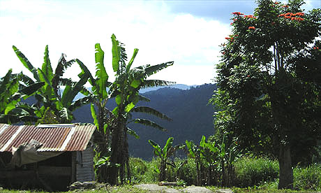 Accompong, Jamaica
