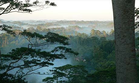 Sri Lanka Samakanda organic farm Enchanted forest  the view over 