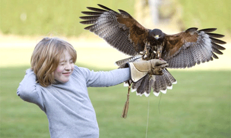 Joel Ronson gets a lesson in falconry at Gleneagles