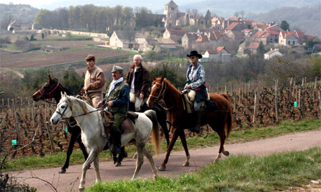 Horseriding in Burgundy