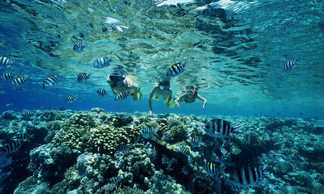 Snorkelling in the Red Sea, Egypt