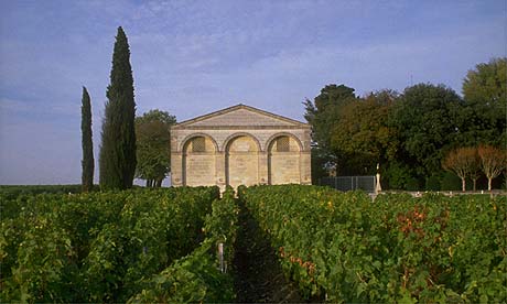 Vineyards at Chateau Mouton-Rothschild, Bordeaux, France