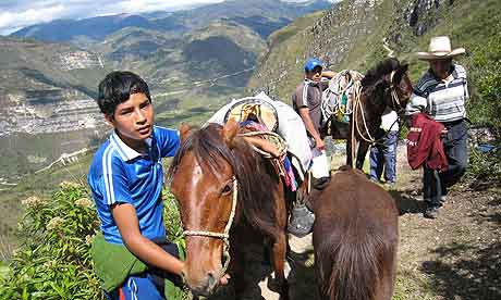 Horses in the Andes, Peru