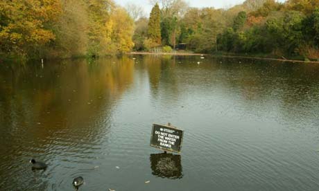 Where I'd rather be: Hampstead ponds