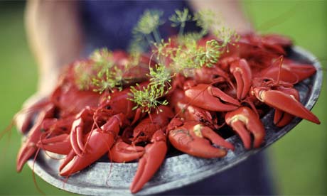 Crayfish
