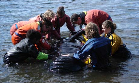 Volunteers learn how to rescue a giant inflatable whale in the Moray Firth
