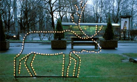 Reindeer in Helsinki