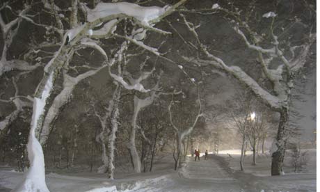 Night skiing in Niseko