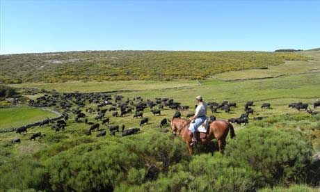 Horseriding in Sierra de Gredon, Spain