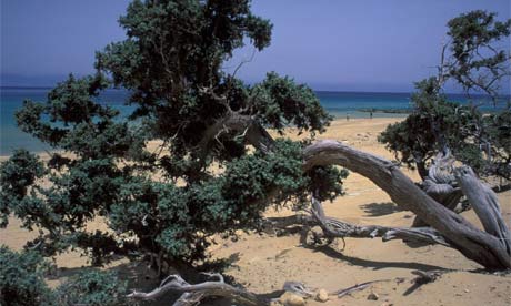 Agios Ioannis beach, Gavdos, Greece